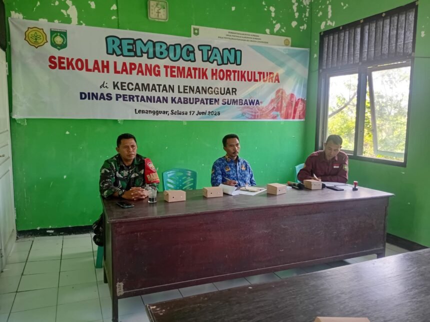 IMG 20250617 WA0101