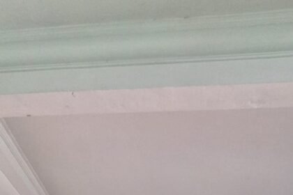 IMG 20250620 WA00361