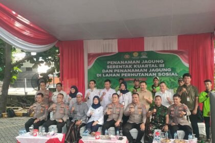 IMG 20250709 WA0032