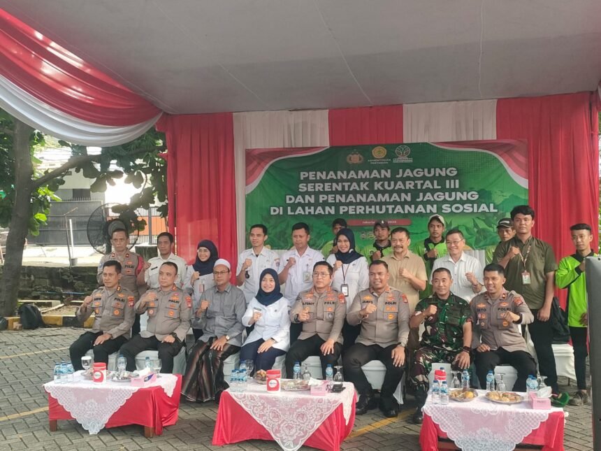 IMG 20250709 WA0032
