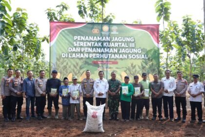 IMG 20250711 WA0035