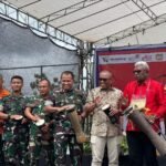 IMG 20250719 WA0028