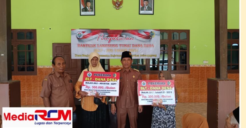 IMG 20250709 174401
