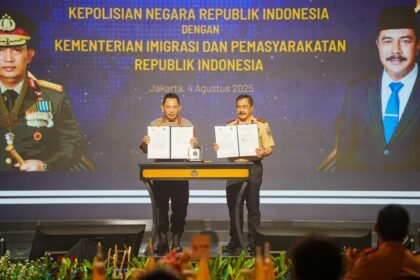 IMG 20250804 WA0040