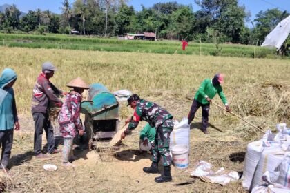 IMG 20250806 WA0020 1