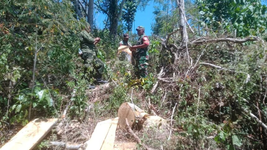 Patroli Gabungan TNI–Kehutanan Cek Tonggak Kayu di Desa Berang Rea  1 IMG 20250812 WA0114