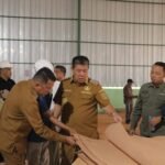 Bulan depan Gubernur Hidayat Resmikan pabrik plywood(triplek) sengon pertama di Babel 2 IMG 20250813 WA0004