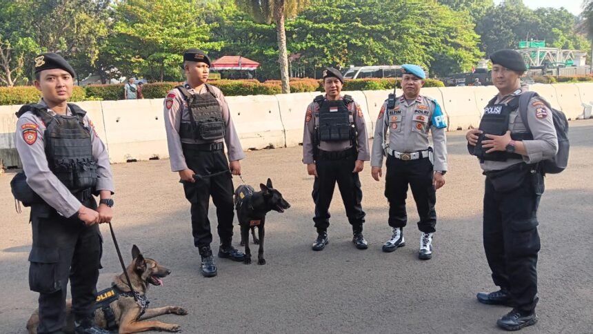 IMG 20250817 WA0027 1