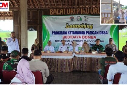 IMG 20250828 144237 1