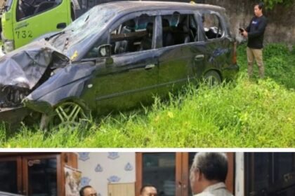 IMG 20250922 170118 COLLAGE2