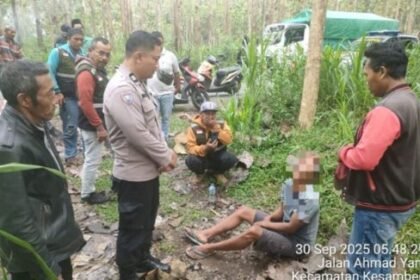 Screenshot 20250930 172416