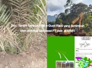 Warga Morowali Laporkan Tambang PT Vale Ke Kemenhut RI, Diduga Merusak Tanaman Produktif 2 IMG 20251019 WA0058