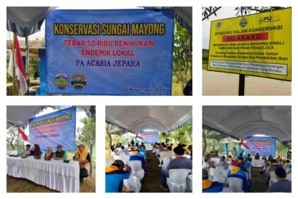 GridArt 20251116 185712030 11zon