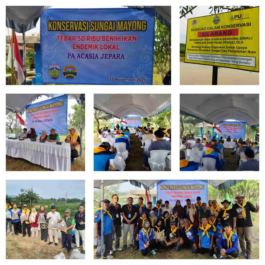 GridArt 20251116 185712030 11zon