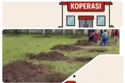 IMG 20251114 WA0034 1