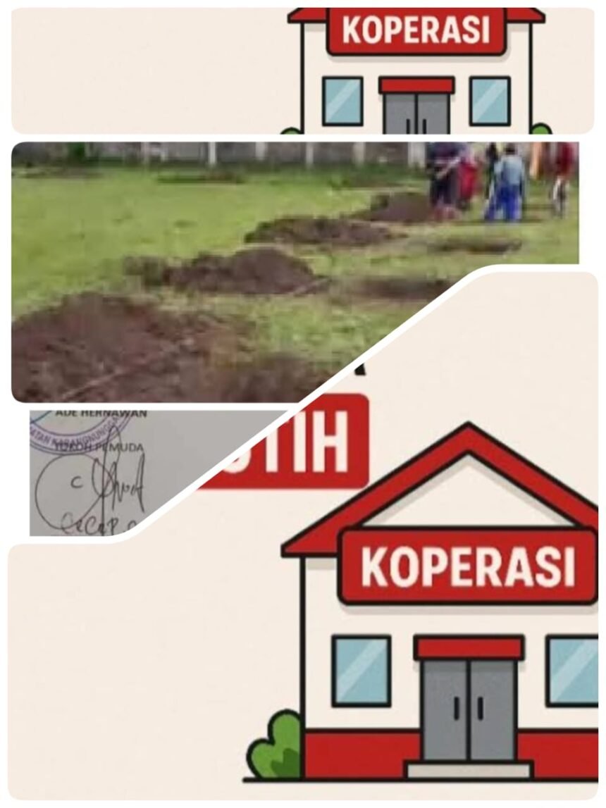 IMG 20251114 WA0034 1