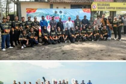 IMG 20251121 115601 COLLAGE2