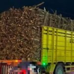 Screenshot 20251125 094204