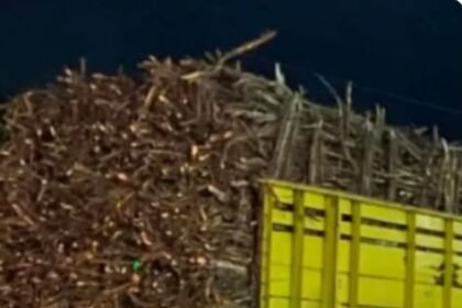 Screenshot 20251125 094204