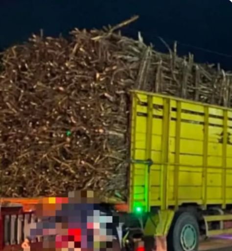 Screenshot 20251125 094204