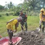 IMG 20251208 WA0016 1