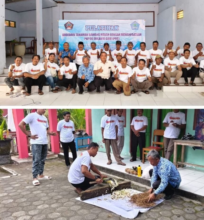 IMG 20251219 100516 COLLAGE2