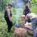 Screenshot 20251222 121448