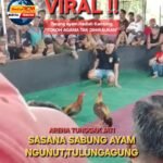 IMG 20260112 WA0015 1