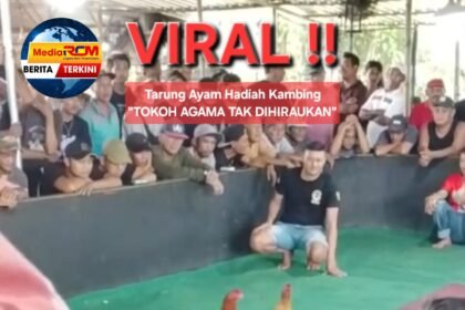 IMG 20260112 WA0015 1