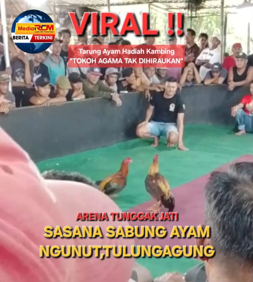 IMG 20260112 WA0015 1