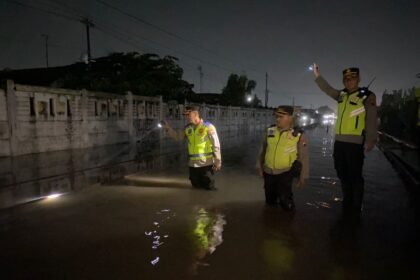 IMG 20260119 WA0003 1