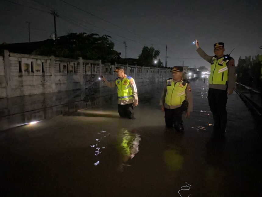 IMG 20260119 WA0003 1