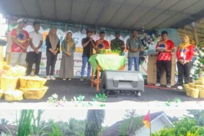 IMG 20260117 101008 COLLAGE2