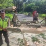 Screenshot 20260125 000233