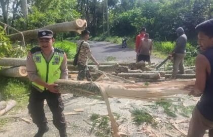 Screenshot 20260125 000233