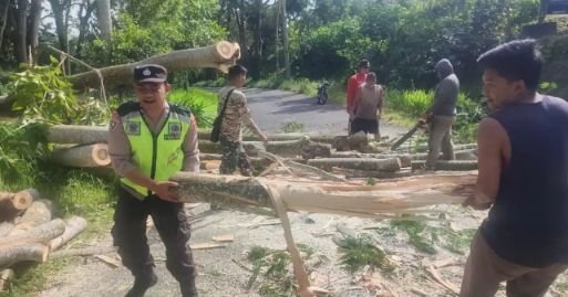 Screenshot 20260125 000233