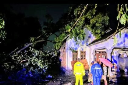 Screenshot 20260131 072818