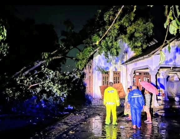 Screenshot 20260131 072818