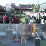 IMG 20260202 111510 COLLAGE2