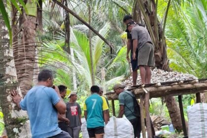 Screenshot 20260215 201716