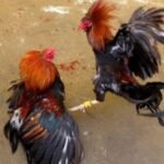 Screenshot 20260223 194138