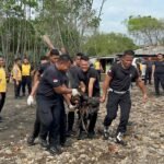 WhatsApp Image 2026 02 09 at 03.25.06