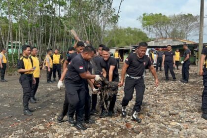 WhatsApp Image 2026 02 09 at 03.25.06