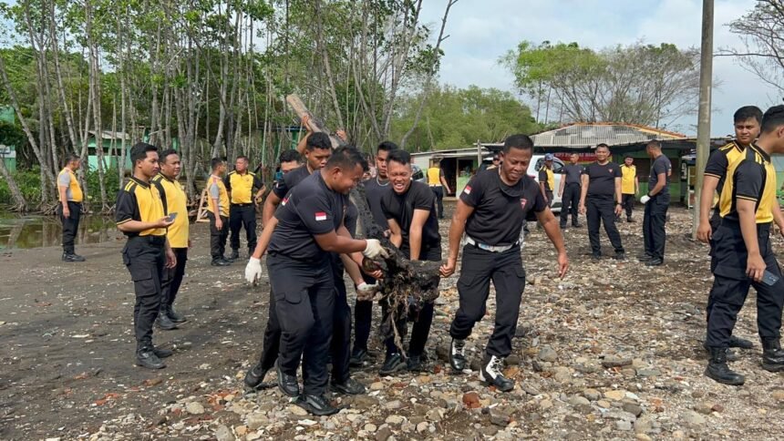 WhatsApp Image 2026 02 09 at 03.25.06