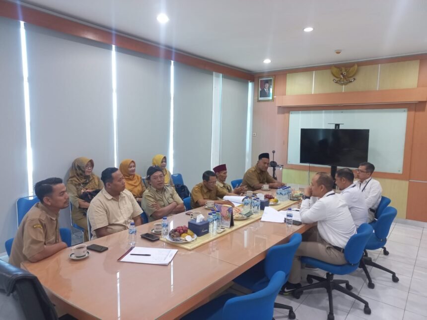 WhatsApp Image 2026 02 10 at 10.10.54