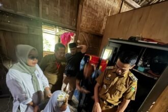 Screenshot 20260303 041845