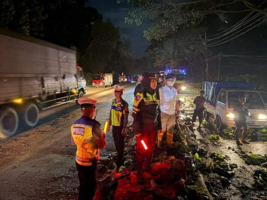 WhatsApp Image 2026 03 05 at 10.05.30