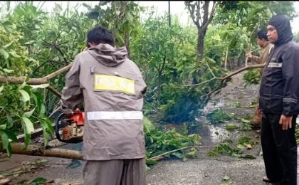 Screenshot 20260410 110221