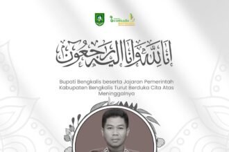 WhatsApp Image 2026 04 01 at 10.07.59