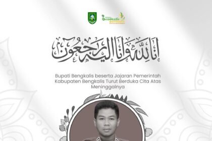 WhatsApp Image 2026 04 01 at 10.07.59